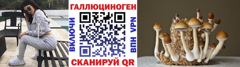 цена   Саяногорск  Псилоцибиновые грибы ЛСД 